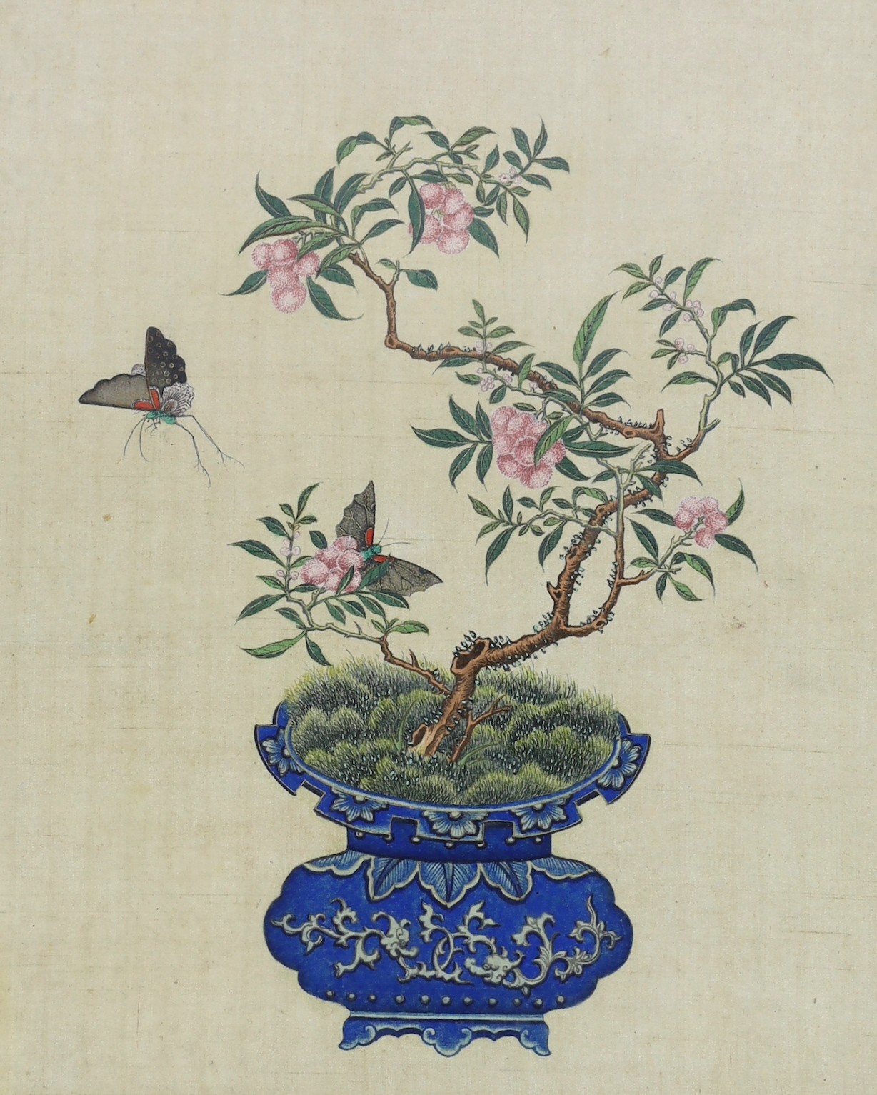 A Chinese painting on silk of a blue glazed jardiniere containing a lychee plant with butterflies,