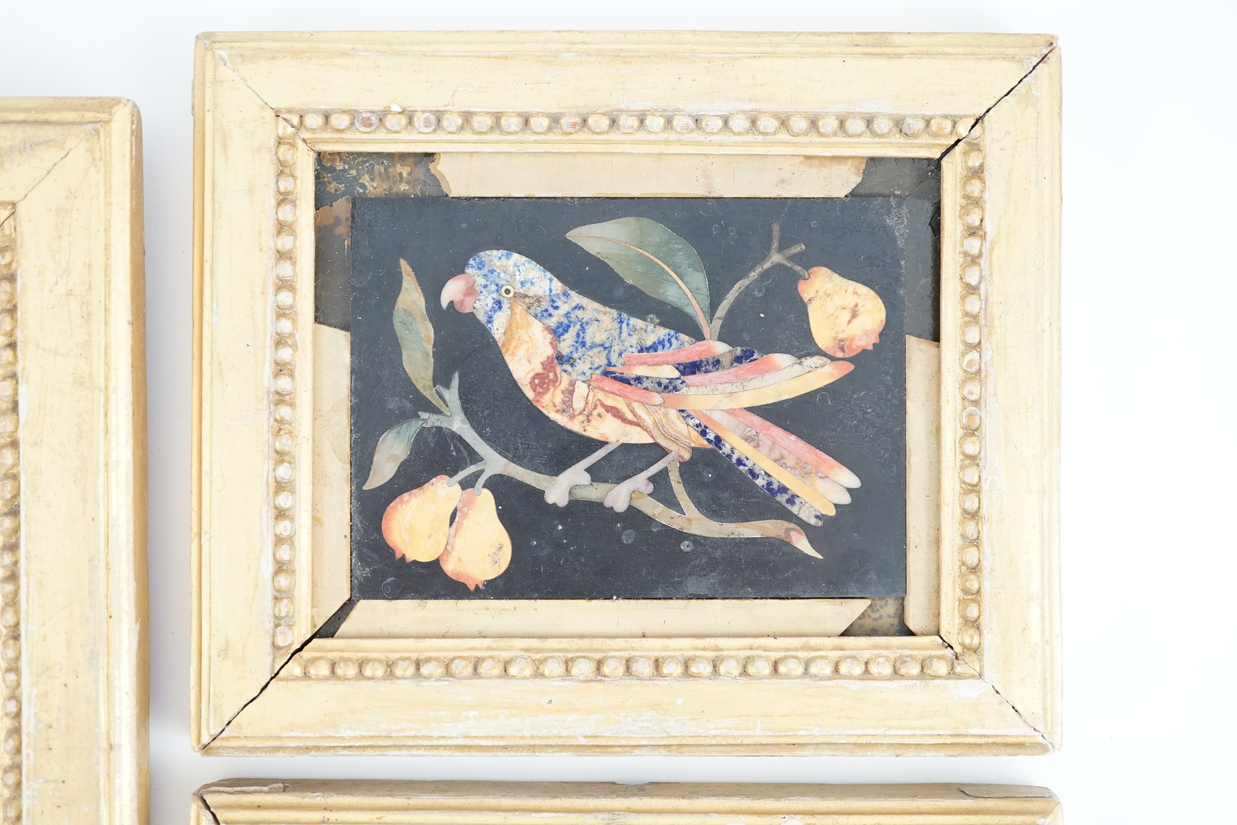 Three 17th / 18th century Italian pietra dura plaques depicting parrots on cherry branches, giltwood - Image 2 of 4