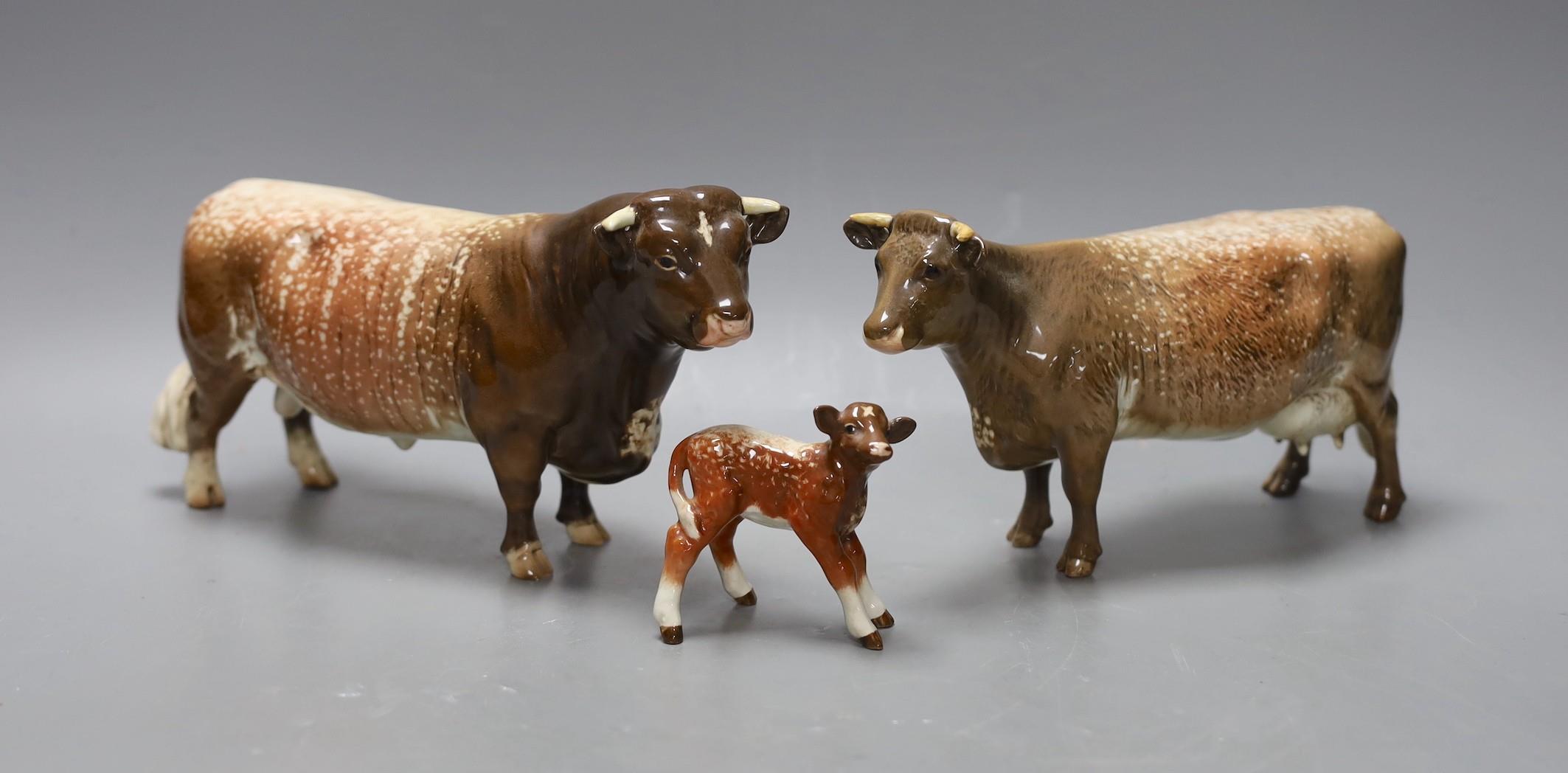 A Beswick Lord Oxford model of a bull, cow and calf
