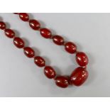 A single strand graduated oval simulated cherry amber bead necklace, 56cm, gross weight 75 grams.