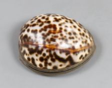 A late 18th/early 19th century white metal mounted cowrie shell snuff box, maker's mark only EC,
