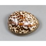 A late 18th/early 19th century white metal mounted cowrie shell snuff box, maker's mark only EC,
