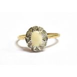 A 9CT GOLD WHITE OPAL FLOWER HEAD RING The oval white opal sat in a bed of clear gem flecked white