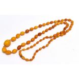 1920's AMBER NECKLACE Comprised of 71 graduated Amber beads of butterscotch/cognac shades, strung