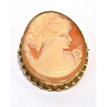 A 9CT GOLD MOUNTED CAMEO BROOCH the cameo hallmarked for Birmingham 1973, fitted with a safety catch