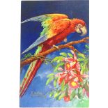 POSTCARDS - ASSORTED Approximately fifty-four cards, mainly artist-drawn birds and animals, some