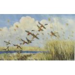AFTER SIR PETER SCOTT Mallard Duck in Flight over rushy marshes and geese in flight, a pair of