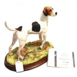 A 'BORDER FINE ARTS' FIGURE OF A FOXHOUND No B1011, standing on an oval wooden plinth base,