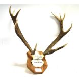 DEVON AND SOMERSET STAGHOUNDS A pair of antlers, skull mount, on shaped wooden shield with painted