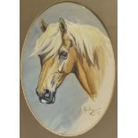 JOHN GREGORY KING (1929-2014) Portrait study of a show pony, watercolour, signed, dated 1975 and