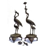 A PAIR OF JAPANESE BRONZE FIGURAL CANDLESTICKS naturalistically modelled as cranes, 55cm high