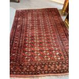 A RED GROUND BOKHARA RUG 240cm x 355cm Condition Report : some natural fading and old moth damage