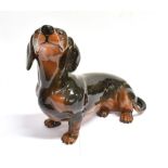 A BESWICK FIRESIDE FIGURE OF A DACHSHUND 27cm high Condition Report : good condition, no damage