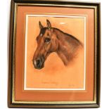 MARJORIE COX 'Captain Morgan', head study of a bay horse, pastel, signed, titled and dated 1991 at