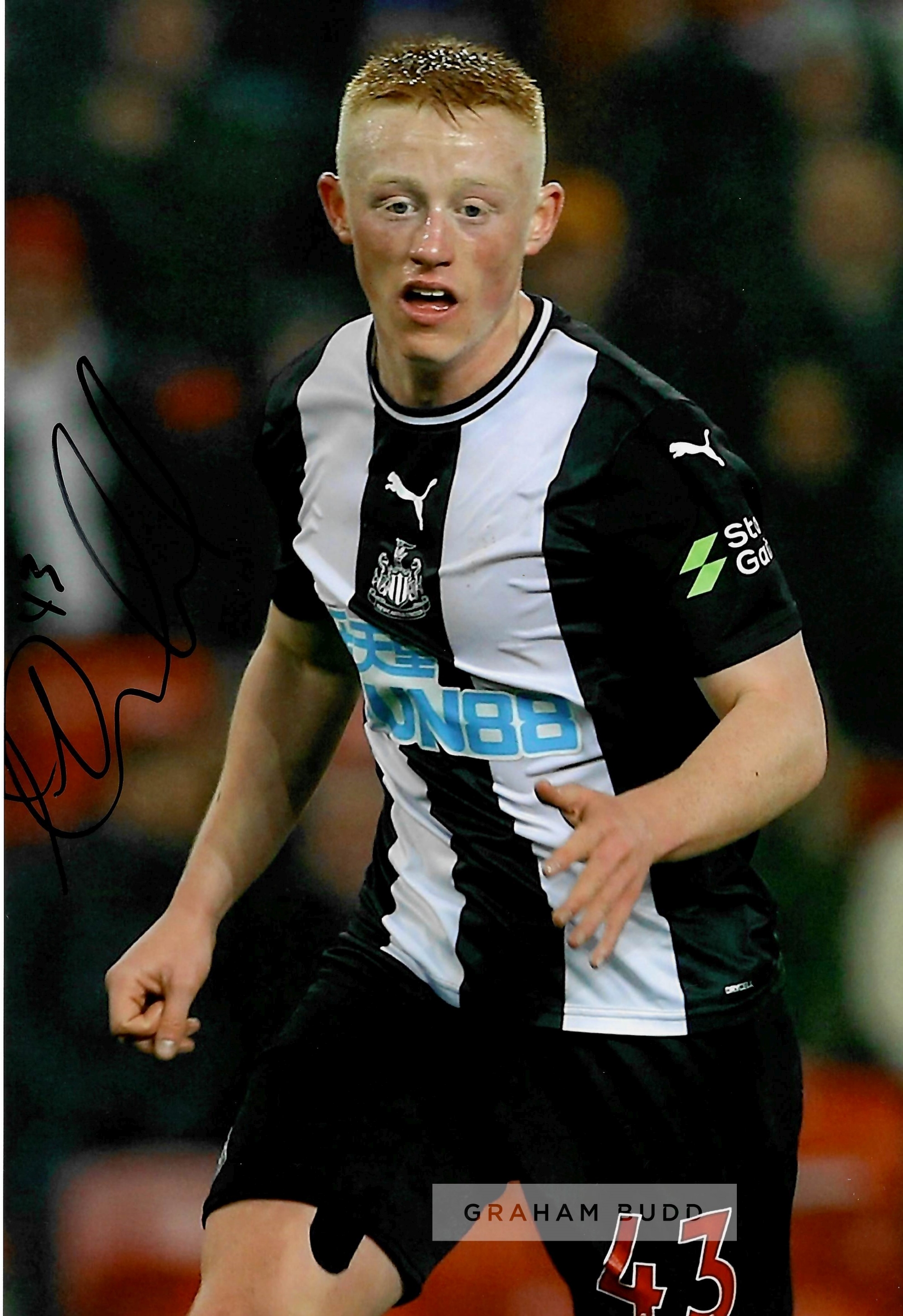 Newcastle United FC Collection of signed photographs by current and former players, including Alan - Image 3 of 8