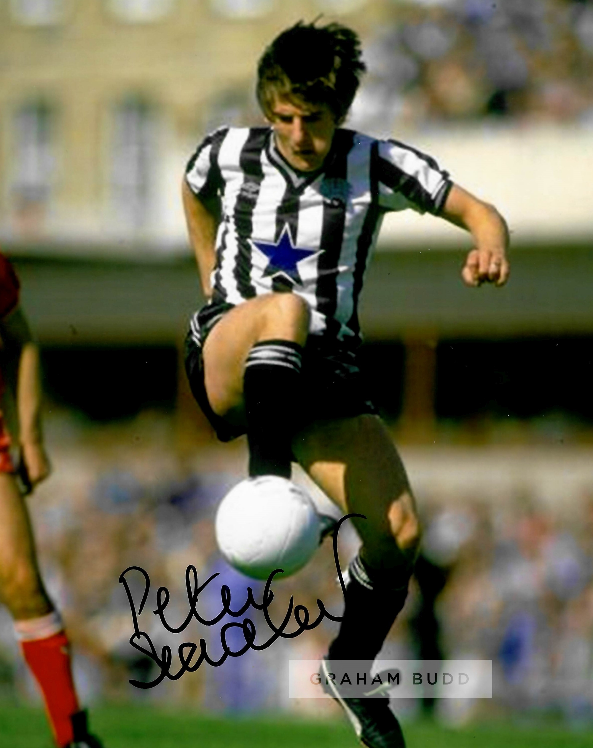 Newcastle United FC Collection of signed photographs by current and former players, including Alan - Image 8 of 8