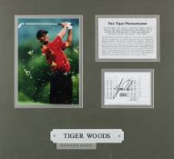 Tiger Woods 2001 Augusta National golf display, featuring a 11 by 8in. colour action photograph of