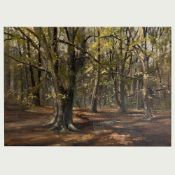 David Shepherd CBE FRSA FGRA (British, 1931-2017) 'English Woodland', Oil on canvas, signed.