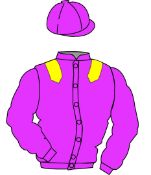 The British Horseracing Authority Sale of Racing Colours: CERISE, YELLOW epaulets The British