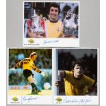 Arsenal Greats: Pat Rice, Frank McLintock & David Seaman signed Autograph Editions colour