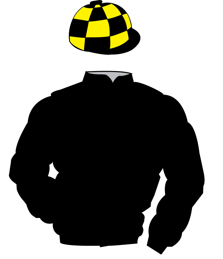 The British Horseracing Authority Sale of Racing Colours: BLACK, BLACK and YELLOW check cap The