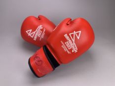 B2022 Men's Bantamweight Semi-Final Boxing Gloves - Matthew McHale