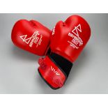 B2022 Men's Flyweight Semi-Final Boxing Gloves - Jake Dodd