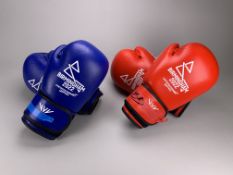 B2022 Men's Bantamweight Quarter-Final Boxing Gloves - Ahmad Shaharom vs McHale