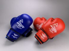 B2022 Men's Super Heavyweight Quarter-Final Boxing Gloves - Paul vs Orie