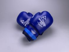 B2022 Men's Welterweight Semi-Final Boxing Gloves - Tyler Jolly