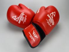 B2022 Women's Minimum Weight Semi-Final Boxing Gloves - Priyanka Dhillon