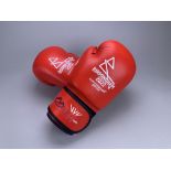 B2022 Women's Middleweight Semi-Final Boxing Gloves - Caitlin Anne Parker