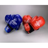 B2022 Men's Featherweight Quarter-Final Boxing Gloves - Hussain vs Gallagher