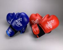 B2022 Men's Featherweight Quarter-Final Boxing Gloves - Hussain vs Gallagher