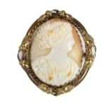 Large shell cameo brooch.