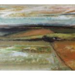 •RALPH COWAN (SCOTTISH 1917-1977) FIELD PATTERNS Oil on board, 36 x 41cm Condition report: Available