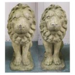 A pair of reconstituted stone garden lions, 59cm high (2)  Condition Report:Available upon request