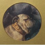 B H BURTON Pug portrait head, monogrammed, watercolour, 16cm diameter  Condition Report:Available