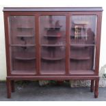 AN EARLY 20TH CENTURY PAINTED PINE GLAZED DISPLAY CABINET, with glazed central sliding door