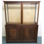 A VICTORIAN MAHOGANY GLAZED DISPLAY CASE ON CABINET BASE, with two glazed doors above above panel
