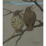 RALSTON GUDGEON RSW Young Thrushes, signed, watercolour, 22 x 19cm Condition Report:Available upon