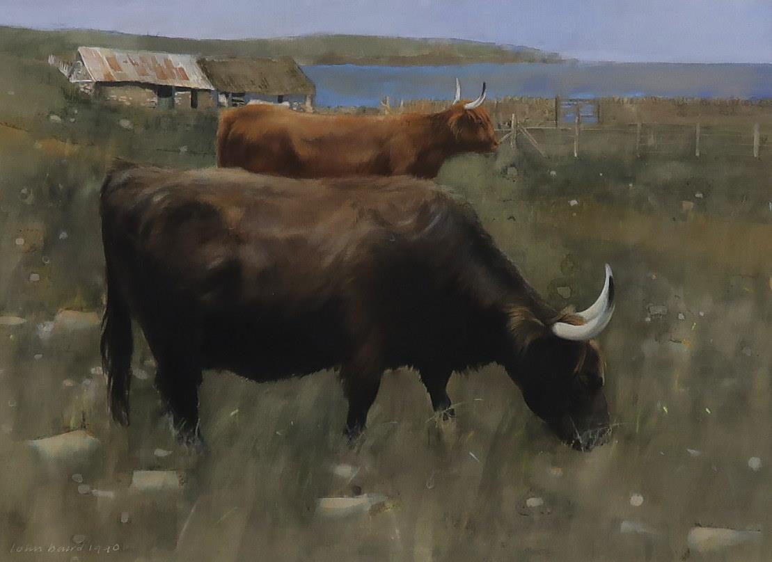 JOHN BAIRD Highland Cattle grazing, signed, watercolour, dated, 1990 32 x 44cm Condition Report: