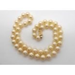 A string of cultured pearls with a 14k gold clasp, each pearl approx 7.7mm, length 45cm, weight 33.