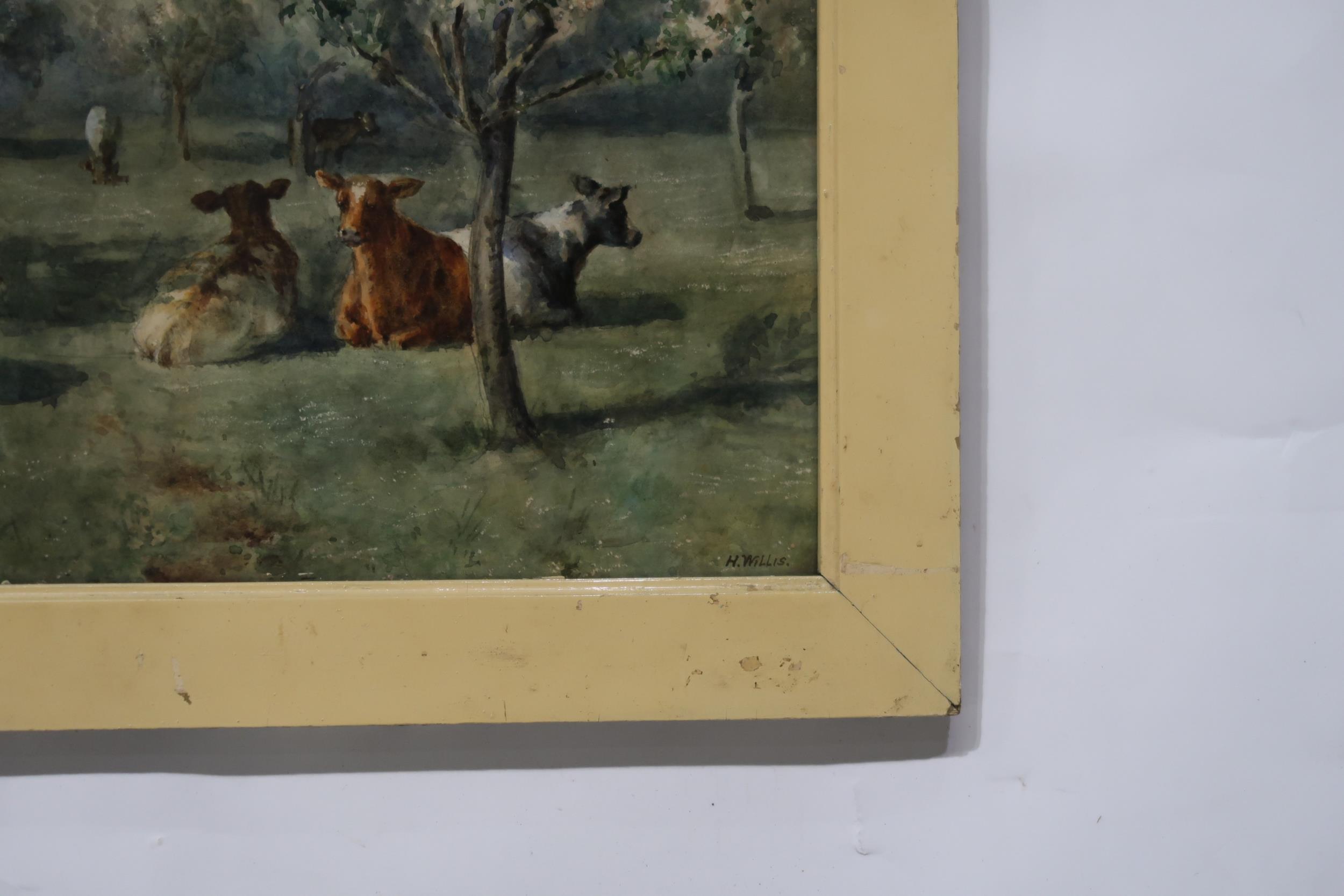 H WILLIS Cattle grazing, signed, watercolour, 30 x 45cm Condition Report:Available upon request - Image 3 of 3