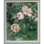 EVANGELINE DICKSON Wild roses, signed, watercolour, 12 x 10cm Exhibited Clarges, London Condition