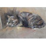 NANCY JANE BURTON Cat resting, signed, pastel, 23 x 33cm Condition Report:Available upon request