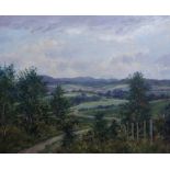 DONALD SHEARER Landscape, signed, oil on canvas, 50 x 60cm Condition Report:Available upon request