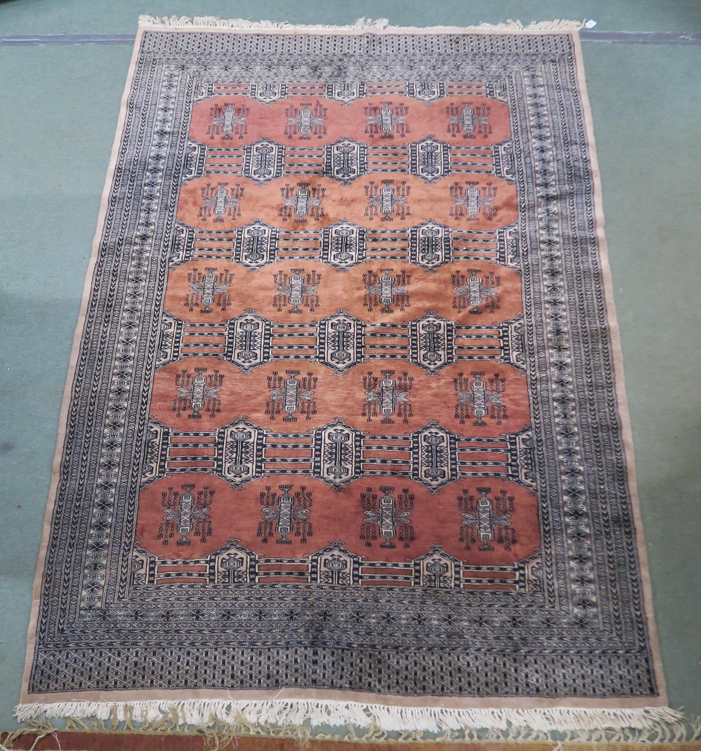 A terracotta ground Bokhara rug with all over design and cream borders, 260cm long x 184cm wide