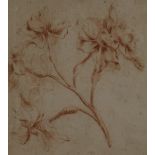 ALEXANDER RUNCIMAN Narcissi, sanguine drawing, 13 x 11cm Condition Report:Available upon request