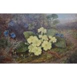 BRITISH SCHOOL Study of Primroses, signed, oil on canvas, 21 x 31cm (2) Condition Report:Available